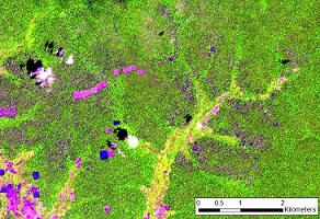 Selectively logged forest in Cambodia on RapidEye imagery